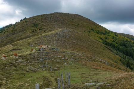 Blick zurück zum Rossbachkogel